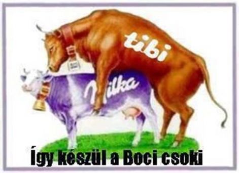 bocicsoki.jpg