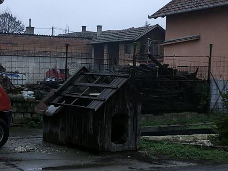 karacsony4.jpg